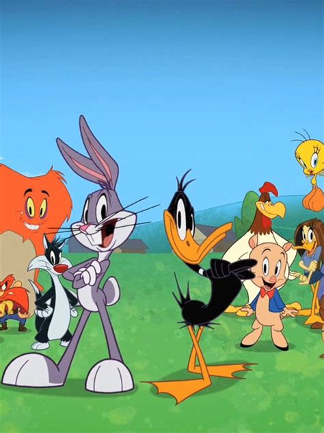 el show de looney tunes online|el show de los looney tunes capitulos online.